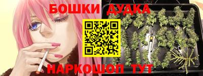 каннабис Новозыбков